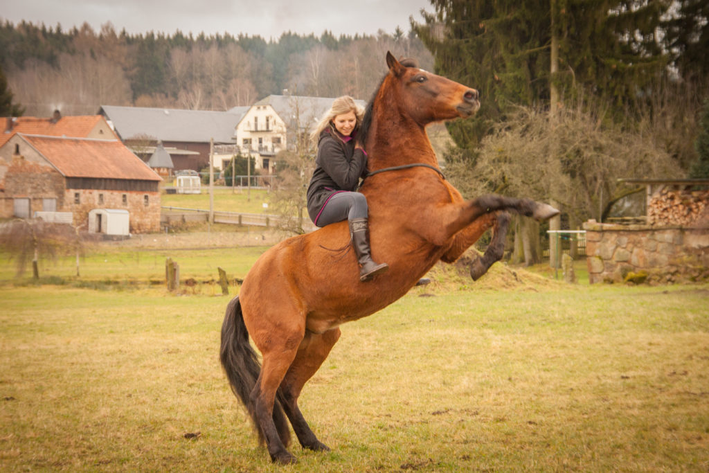 Romina steigt auf Gavilan