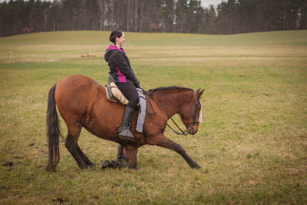 Luise macht ein Kompliment mit Gavilan