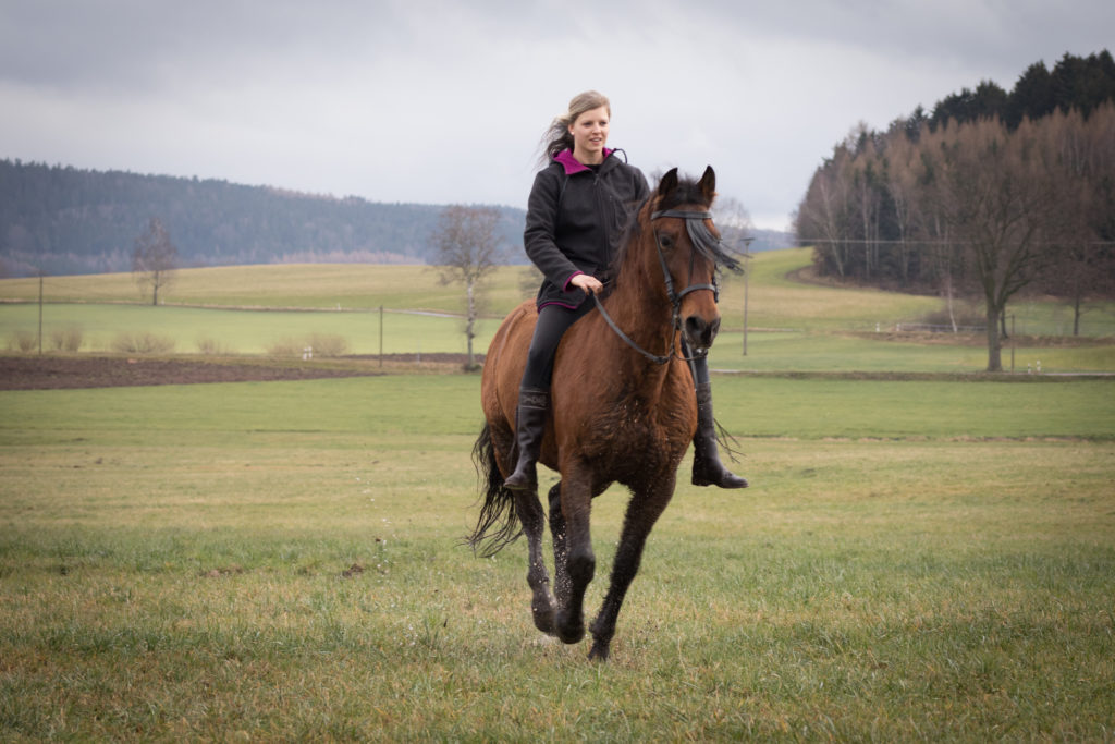 Romina und Gavilan im Galopp