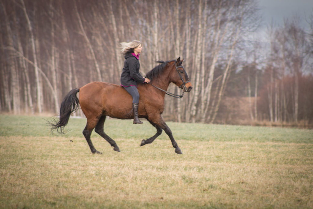 Romina und Gavilan im Galopp